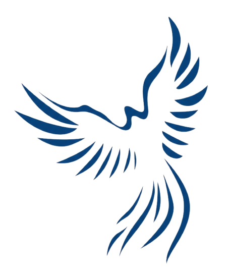 Merka35 Logo